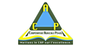 Untitled design (19)